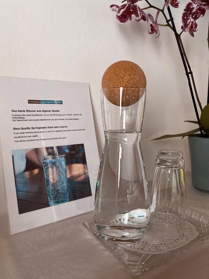 Apartament Haus Ratgeb Filzmoos Zewnętrze zdjęcie